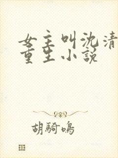 女主叫沈清璃的重生小说