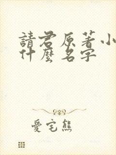 请君原著小说叫什么名字