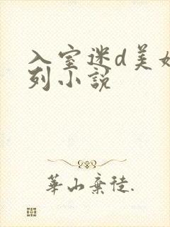 入室迷d美妇系列小说