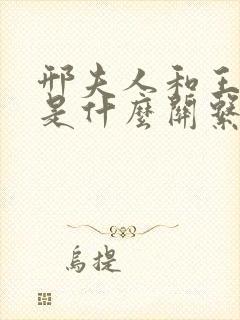 邢夫人和王夫人是什么关系