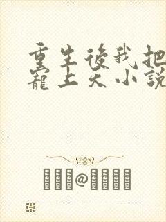 重生后我把丈夫宠上天小说