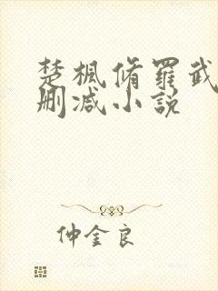 楚枫修罗武神未删减小说