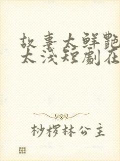 故事太鲜艳缘分太浅短剧在线观看