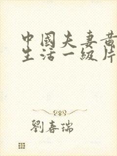 中国夫妻黄色性生活一级片