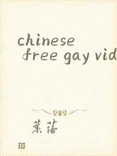 chinese free gay videos