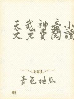 天武神帝小说全文免费阅读