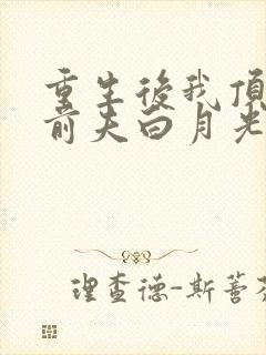 重生后我顶替了前夫白月光手机版