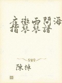 夜微雨问海棠拇指琴琴谱