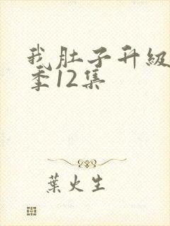 我肚子升级第二季12集