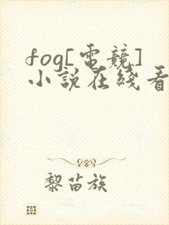 fog[电竞]小说在线看