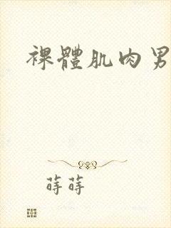 裸体肌肉男互操