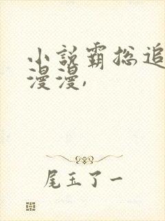 小说霸总追妻路漫漫,