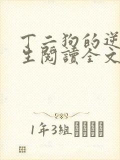 丁二狗的逆袭人生阅读全文全文