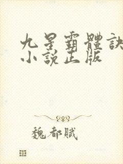 九星霸体诀龙尘小说正版