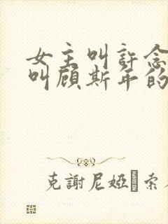 女主叫许念男主叫顾斯年的小说名字封面