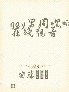 gay男同嘿咻在线观看