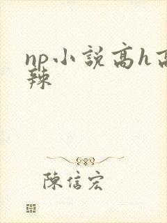 np小说高h高辣封面