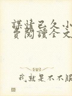 谋情已久小说免费阅读全文封面