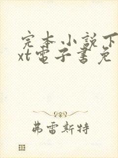 完本小说下载txt电子书免费下载全本