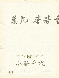 叶凡 唐若雪封面