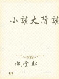 小说大隋说书人