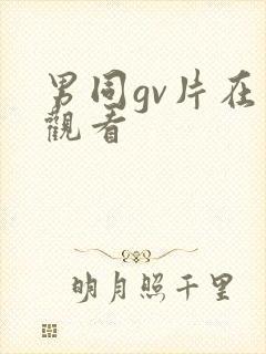 男同gv片在线观看