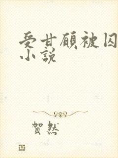 受甘愿被囚禁的小说