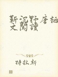 靳沉野唐栖雾全文阅读