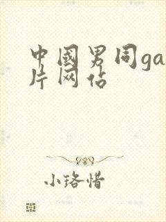 中国男同gay片网站