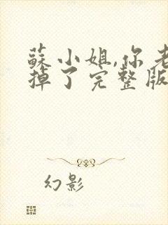 苏小姐,你老公掉了完整版封面