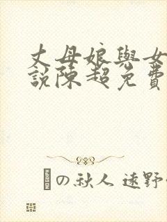 丈母娘与女婿小说陈超免费阅读封面