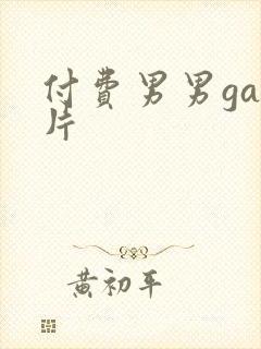 付费男男gay片封面