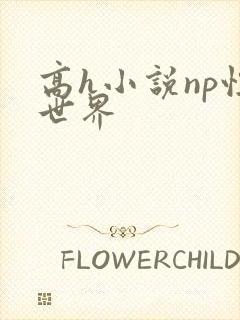 高h小说np性世界