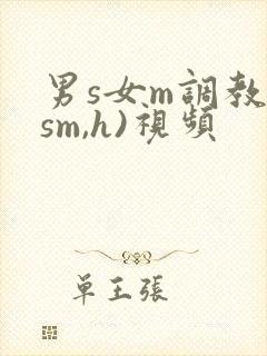 男s女m调教(sm,h)视频