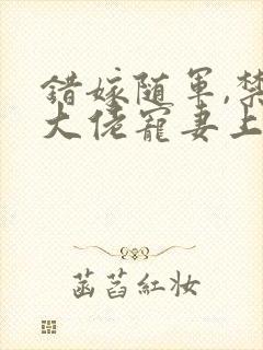 错嫁随军,禁欲大佬宠妻上瘾