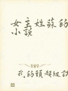 女主姓苏的现代小说