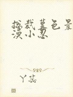 总裁暮色晨婚 漠小忍