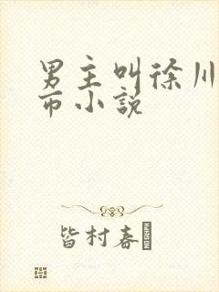 男主叫徐川的都市小说