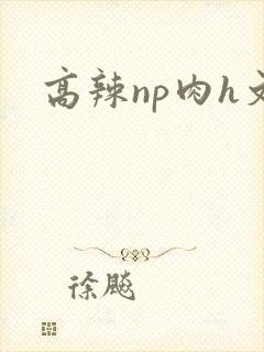 高辣np肉h文封面