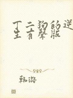 丁二狗的逆袭人生有声版