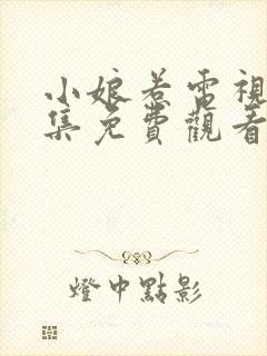 小娘惹电视剧全集免费观看完整版封面