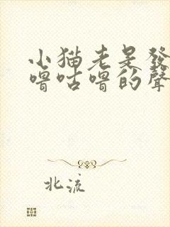 小猫老是发出咕噜咕噜的声音,怎么回事