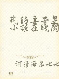 我的妻子是永美小说在线阅读