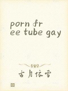 porn free tube gay