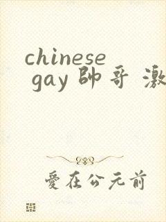 chinese gay 帅哥 激情