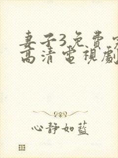 妻子3免费完整高清电视剧在线看