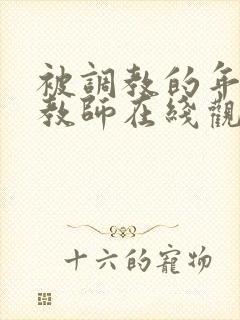 被调教的年轻女教师在线观看