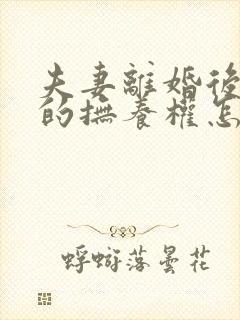 夫妻离婚后孩子的抚养权怎么判