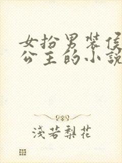 女扮男装侯爷娶公主的小说gl