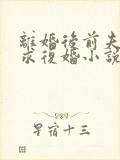 离婚后前夫哭着求复婚小说版